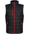 RG445 TRA892 Regatta Navigate Thermal Bodywarmer Black / Classic Red colour image